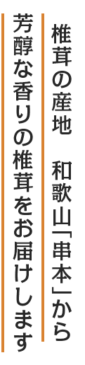 椎茸の産地　和歌山「串本」から芳醇な香りの椎茸をお届けします