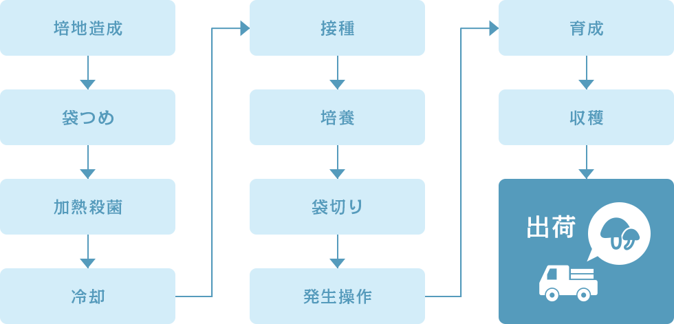 椎茸の栽培工程図